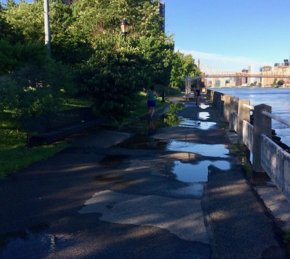 Roosevelt Island Year in Pictures, 2018: Part Two While trying to force the WFF Cat Sanctuary out of Southpoint to, it was claimed, save water, RIOC flooded the West Promenade every morning.